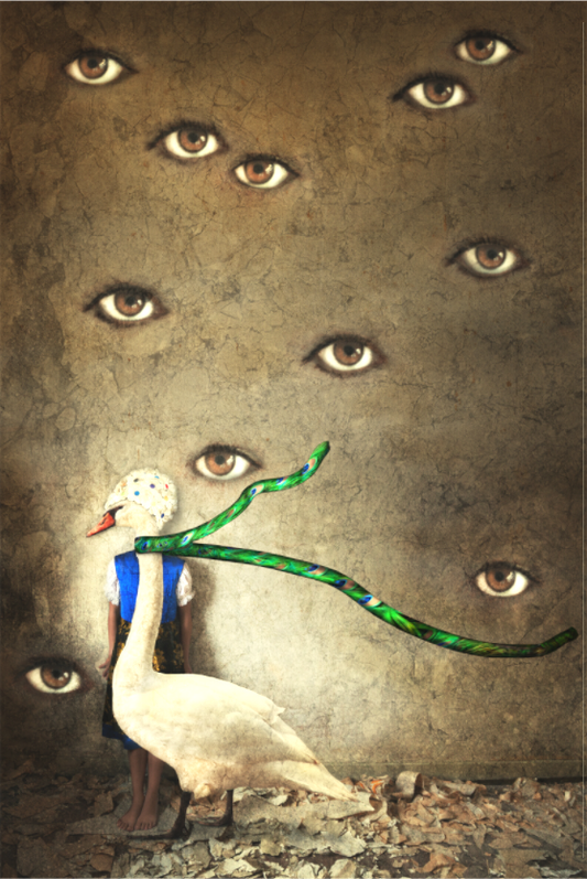 Misinterpretations